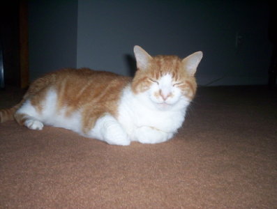 My Sebastian